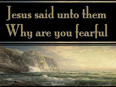 Matthew 8:26 Why are You Fearful (brown)